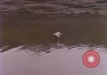 Image of President Kennedy and Indian PM Jawaharlal Nehru Newport Rhode Island USA, 1961, second 36 stock footage video 65675034034