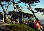 Image célèbres monuments aux États-Unis United States USA, 1965, de la seconde 40 séquences d'archives historiques vidéo 65675034052