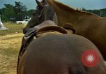 Image of American people and sports United States USA, 1965, second 36 stock footage video 65675034054