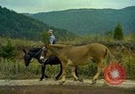 Image of American people and sports United States USA, 1965, second 49 stock footage video 65675034054