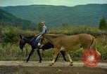 Image of American people and sports United States USA, 1965, second 50 stock footage video 65675034054