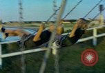 Image of Children at play United States USA, 1965, second 46 stock footage video 65675034055