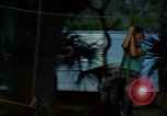 Image of Children at play United States USA, 1965, second 57 stock footage video 65675034055