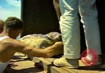 Image of Workers and laborers in America mid 1960's United States USA, 1965, second 8 stock footage video 65675034056