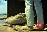 Image of Workers and laborers in America mid 1960's United States USA, 1965, second 9 stock footage video 65675034056