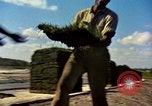 Image of Workers and laborers in America mid 1960's United States USA, 1965, second 17 stock footage video 65675034056