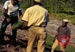 Image of Workers and laborers in America mid 1960's United States USA, 1965, second 20 stock footage video 65675034056