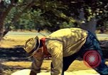 Image of Workers and laborers in America mid 1960's United States USA, 1965, second 24 stock footage video 65675034056