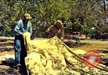 Image of Workers and laborers in America mid 1960's United States USA, 1965, second 29 stock footage video 65675034056