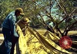 Image of Workers and laborers in America mid 1960's United States USA, 1965, second 32 stock footage video 65675034056