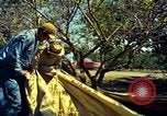 Image of Workers and laborers in America mid 1960's United States USA, 1965, second 33 stock footage video 65675034056