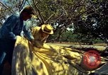 Image of Workers and laborers in America mid 1960's United States USA, 1965, second 34 stock footage video 65675034056