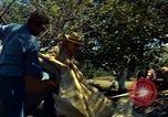 Image of Workers and laborers in America mid 1960's United States USA, 1965, second 35 stock footage video 65675034056