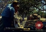 Image of Workers and laborers in America mid 1960's United States USA, 1965, second 36 stock footage video 65675034056