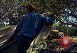 Image of Workers and laborers in America mid 1960's United States USA, 1965, second 38 stock footage video 65675034056