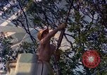 Image of Farmers on fields United States USA, 1965, second 1 stock footage video 65675034058