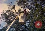 Image of Farmers on fields United States USA, 1965, second 3 stock footage video 65675034058