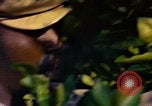 Image of Farmers on fields United States USA, 1965, second 15 stock footage video 65675034058