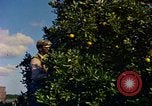 Image of Farmers on fields United States USA, 1965, second 16 stock footage video 65675034058