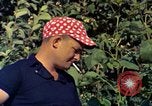 Image of Farmers on fields United States USA, 1965, second 18 stock footage video 65675034058