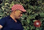 Image of Farmers on fields United States USA, 1965, second 19 stock footage video 65675034058