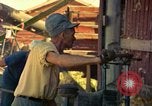 Image of Farmers on fields United States USA, 1965, second 33 stock footage video 65675034058