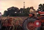 Image of Farmers on fields United States USA, 1965, second 56 stock footage video 65675034058