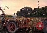 Image of Farmers on fields United States USA, 1965, second 57 stock footage video 65675034058