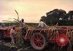 Image of Farmers on fields United States USA, 1965, second 58 stock footage video 65675034058