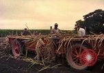 Image of Farmers on fields United States USA, 1965, second 59 stock footage video 65675034058