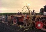 Image of Farmers on fields United States USA, 1965, second 60 stock footage video 65675034058