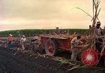 Image of Farmers on fields United States USA, 1965, second 61 stock footage video 65675034058