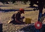 Image of Farmers on fields United States USA, 1965, second 62 stock footage video 65675034058