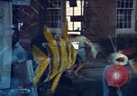 Image of American people have fun United States USA, 1965, second 53 stock footage video 65675034060