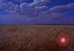 Standbild Präsident John F Kennedy und Lyndon B Johnson United States USA, 1963, aus Sekunde 42 historischem Filmmaterial Videoclip 65675034061