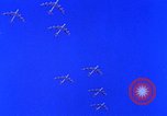 Image of US Defense Forces maintain peace United States USA, 1963, second 4 stock footage video 65675034062