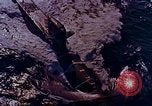 Image of US Defense Forces maintain peace United States USA, 1963, second 11 stock footage video 65675034062