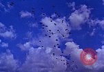 Image of US Defense Forces maintain peace United States USA, 1963, second 28 stock footage video 65675034062