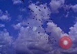 Image of US Defense Forces maintain peace United States USA, 1963, second 29 stock footage video 65675034062