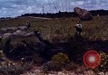 Image of US Defense Forces maintain peace United States USA, 1963, second 33 stock footage video 65675034062