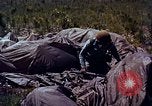Image of US Defense Forces maintain peace United States USA, 1963, second 38 stock footage video 65675034062