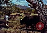 Image of Cold War scenes of NATO allies and military weaponry United States USA, 1963, second 59 stock footage video 65675034064