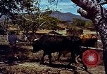 Image of Cold War scenes of NATO allies and military weaponry United States USA, 1963, second 60 stock footage video 65675034064