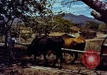 Image of Cold War scenes of NATO allies and military weaponry United States USA, 1963, second 61 stock footage video 65675034064