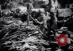 Image Français sida exode espagnol Le Perthus France, 1939, de la seconde 31 séquences d'archives historiques vidéo 65675034111