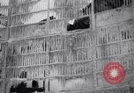 Immagine di 1800 pazienti salvato Quebec City Québec Canada, 1939, secondo 39 filmato di repertorio 65675034115
