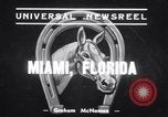 Standbild Bühnenarbeiter und Krieg Admiral Miami Florida USA, 1939, aus Sekunde 3 historischem Filmmaterial Videoclip 65675034118