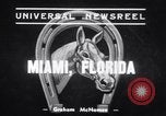 Standbild Bühnenarbeiter und Krieg Admiral Miami Florida USA, 1939, aus Sekunde 4 historischem Filmmaterial Videoclip 65675034118