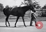 Image of race horse War Admiral Lexington Kentucky USA, 1939, second 4 stock footage video 65675034130