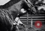 Image of race horse War Admiral Lexington Kentucky USA, 1939, second 7 stock footage video 65675034130